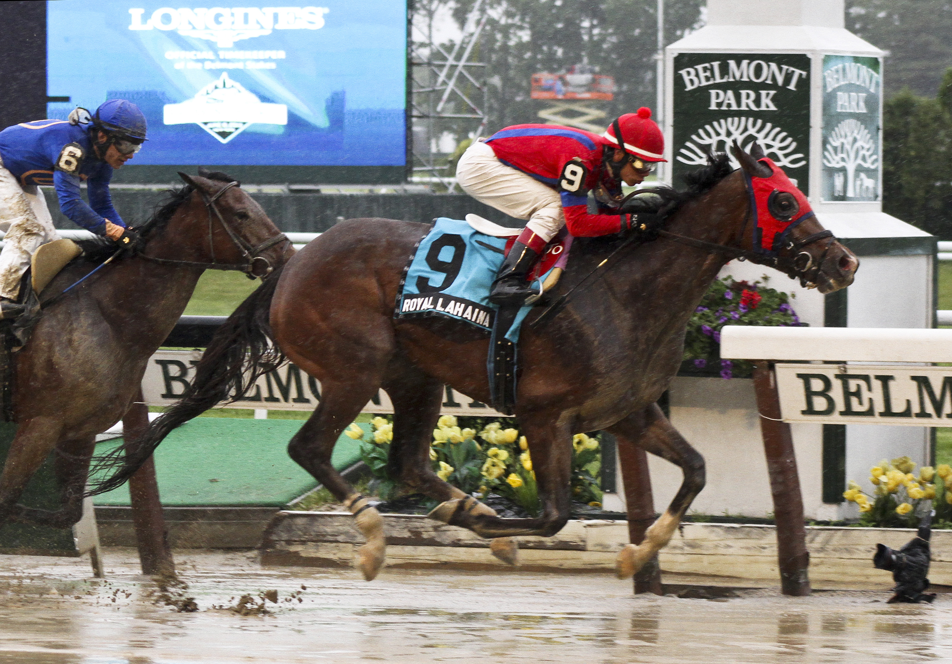 Royal Lahaina, Mariensky Stakes, June 7, 2013