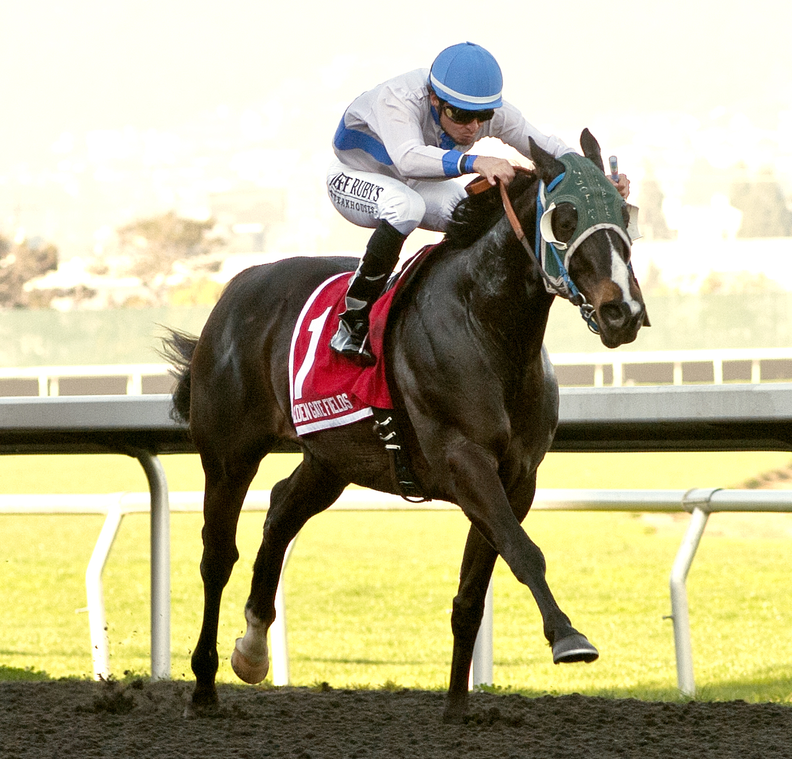 Marino's Wild Ride wins the 2015 Lost in the Fog