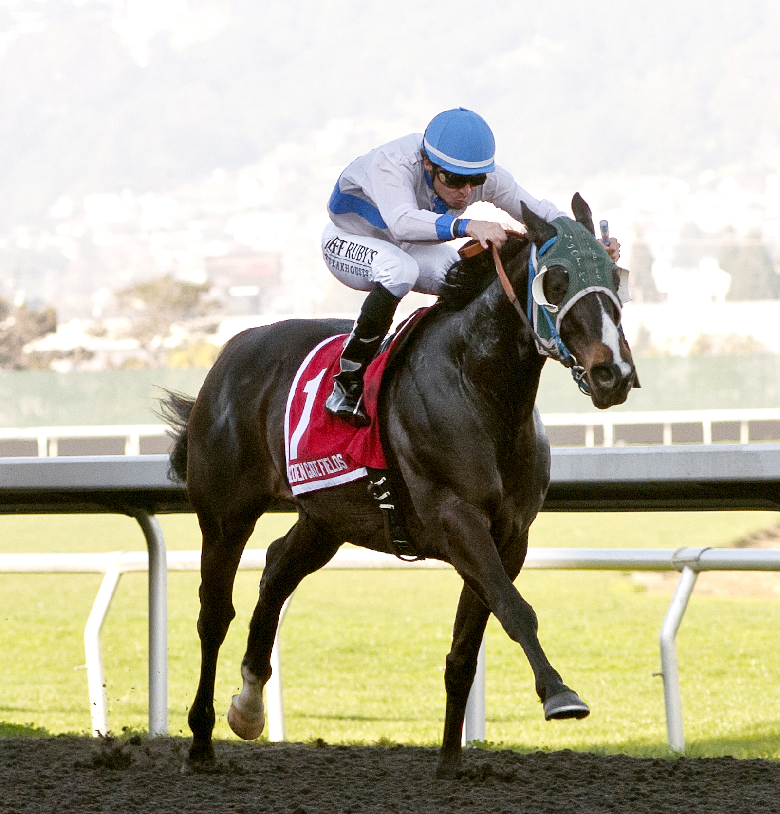 Marino's Wild Cat wins the Lost in the Fog Stakes