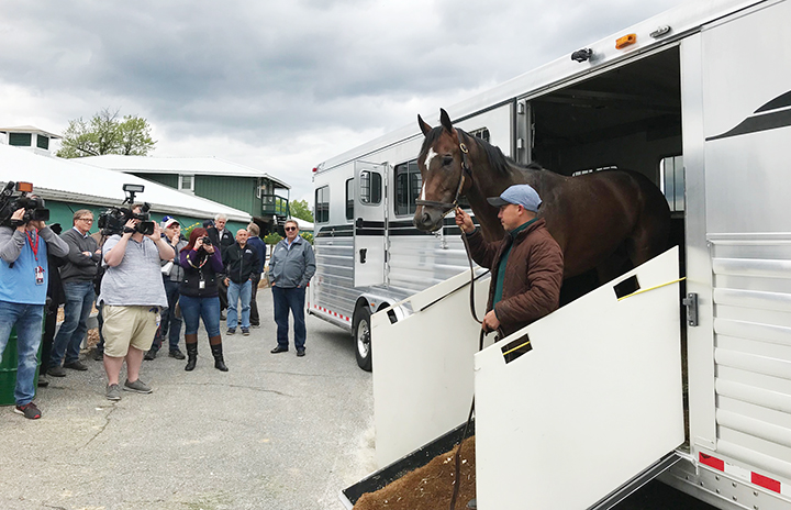 Market King arrives at Pimlico on May 14