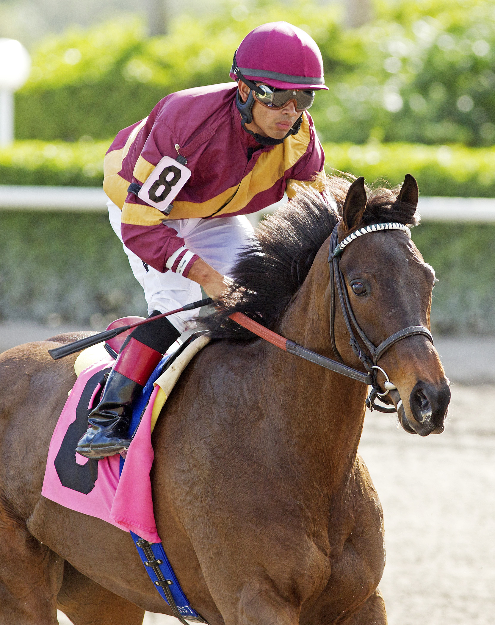 Market Magic finishes third in a 2014 claiming race