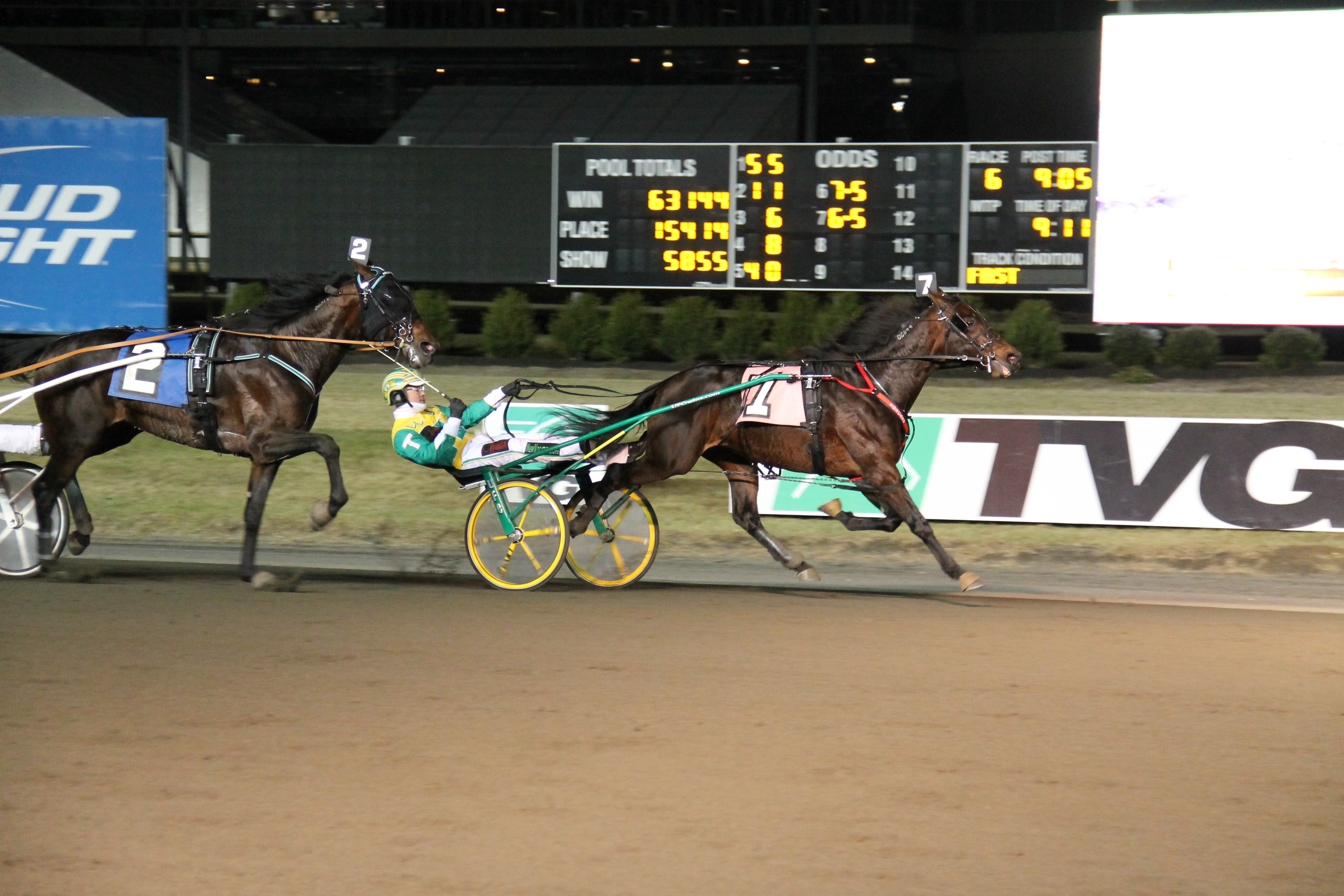 Market Share_TVG