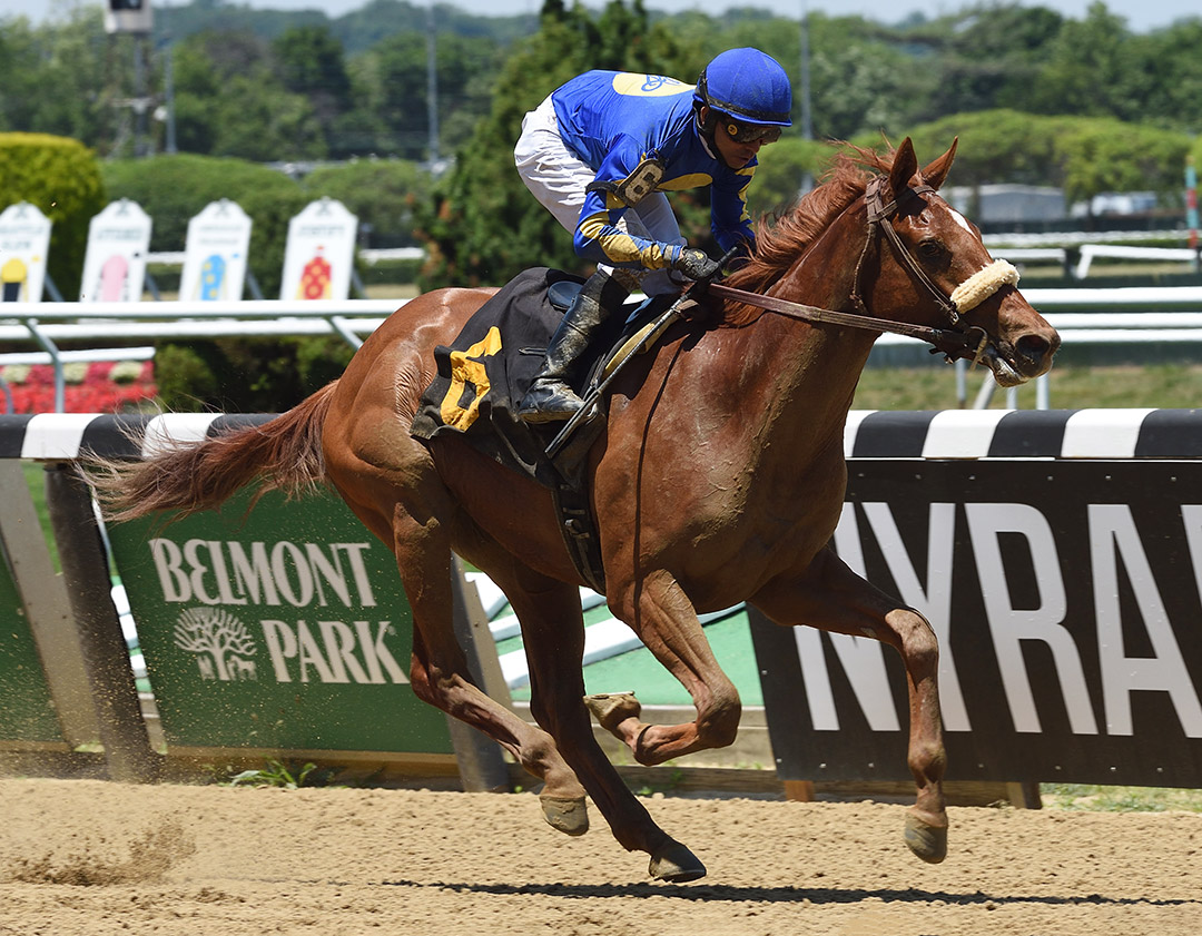 Market Alert wins a June 19 maiden race at Belmont