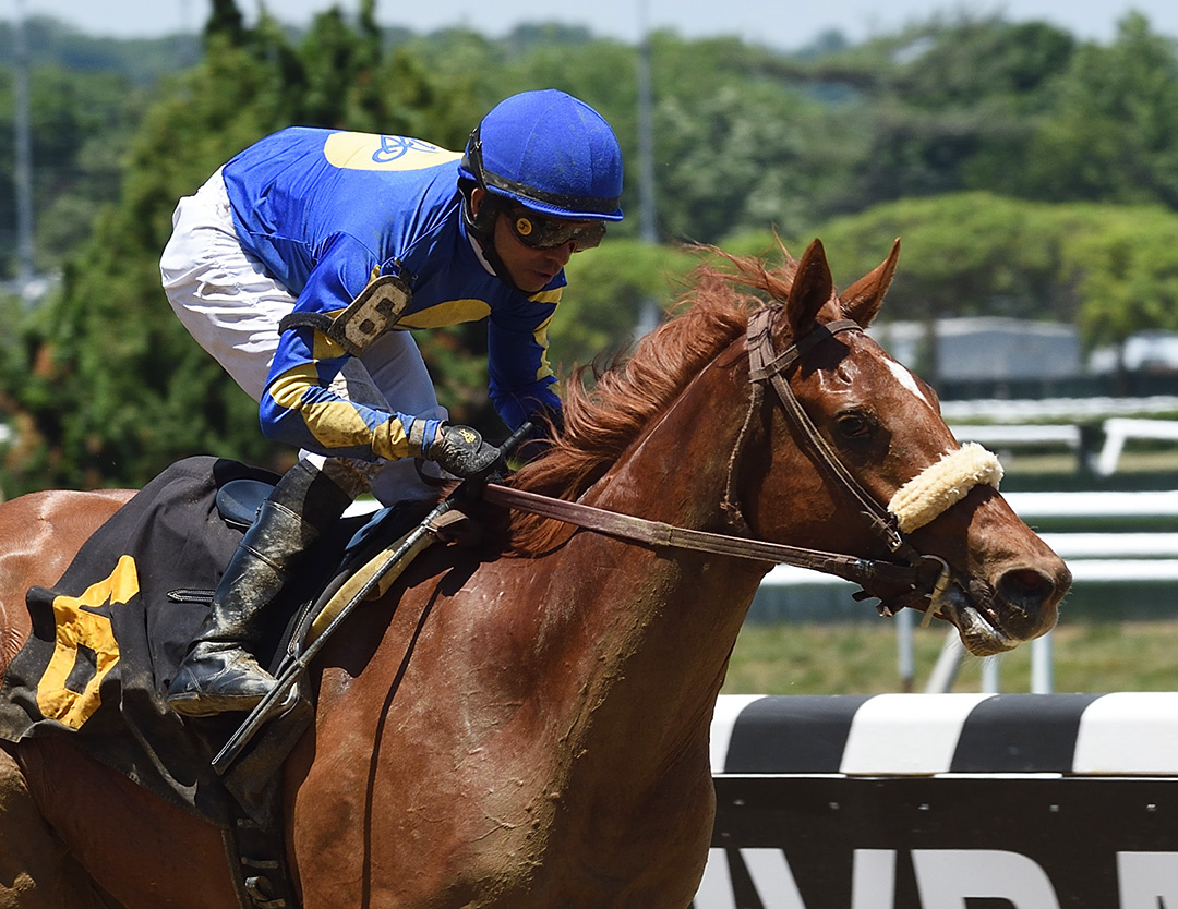 Market Alert wins a June 19 maiden race at Belmont