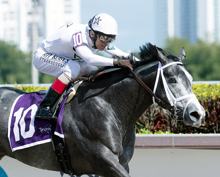 Market Analysis wins a Jan. 25 maiden race at Gulfstream Park