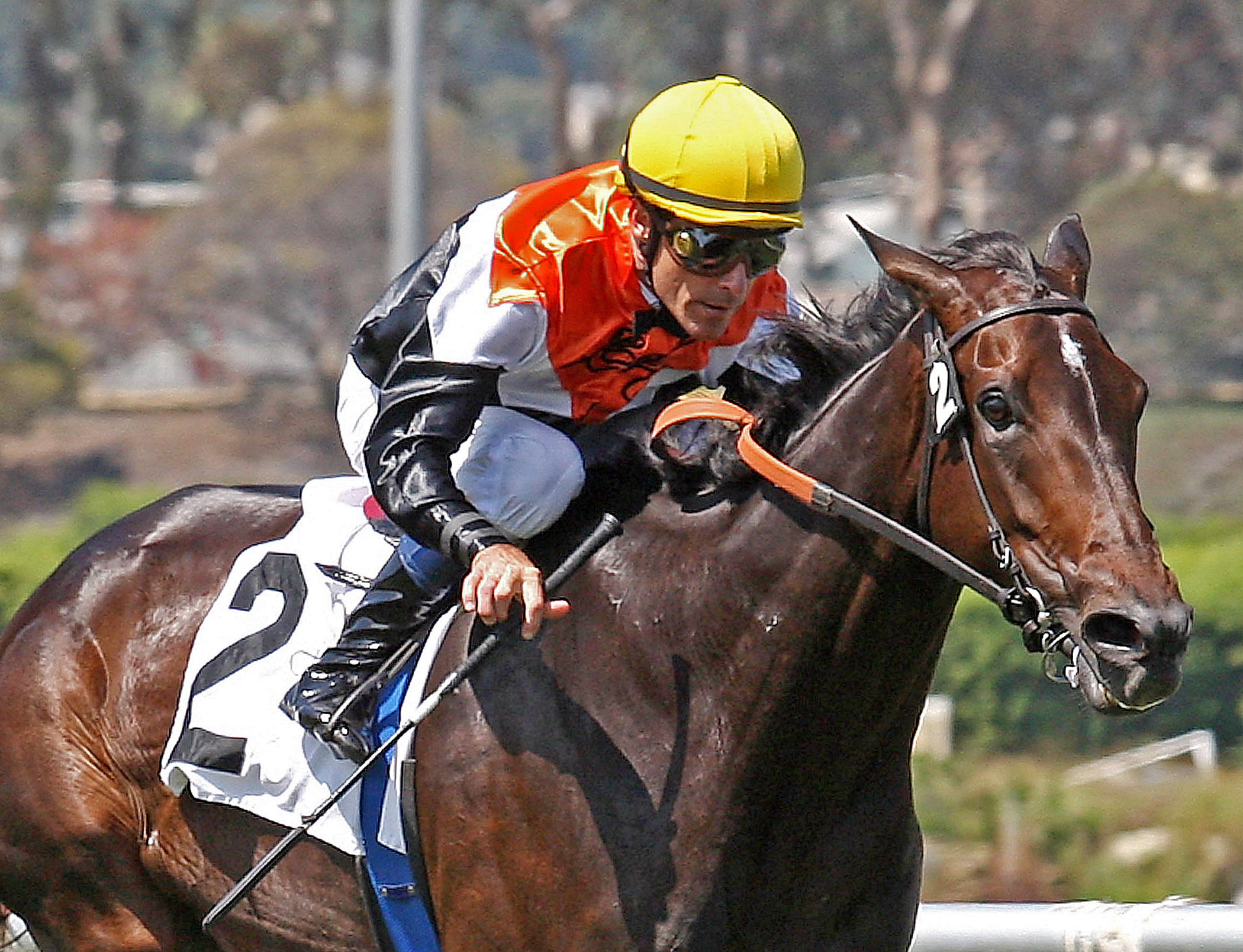 Marketing Mix wins the Sunset Handicap