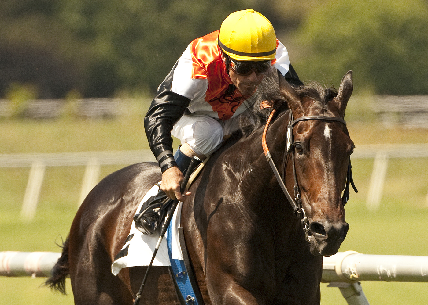 Marketing Mix, Sunset Handicap