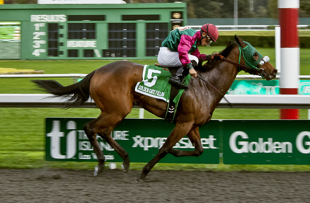 Marks Mine, Golden Gate Debutante