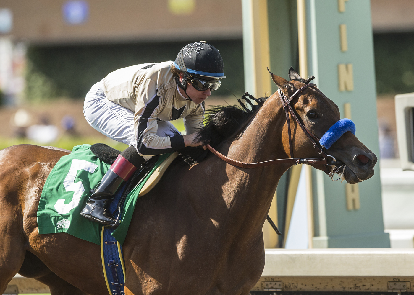 Marley's Freedom wins 2018 Desert Stormer