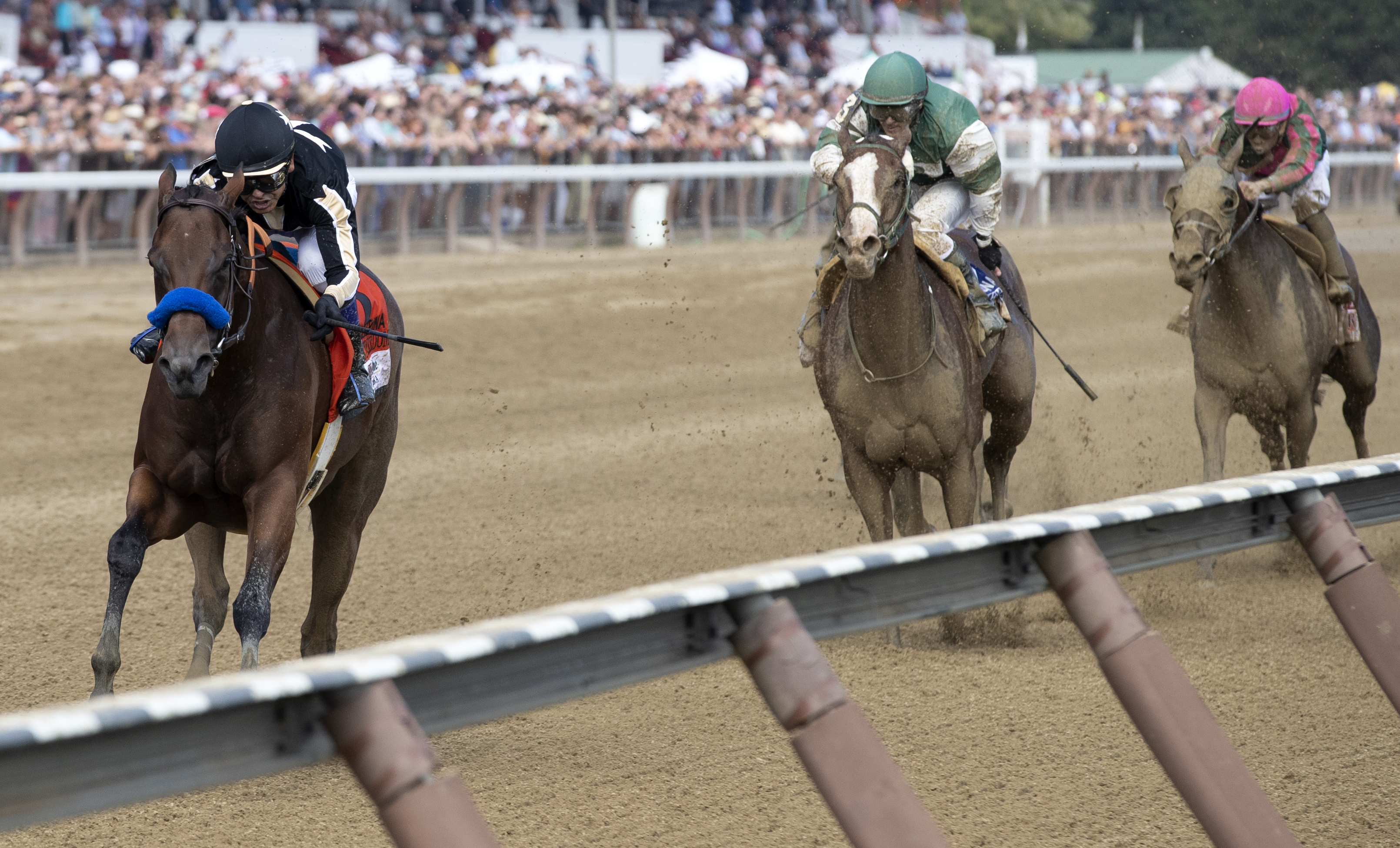 Marley's Freedom wins 2018 Ballerina