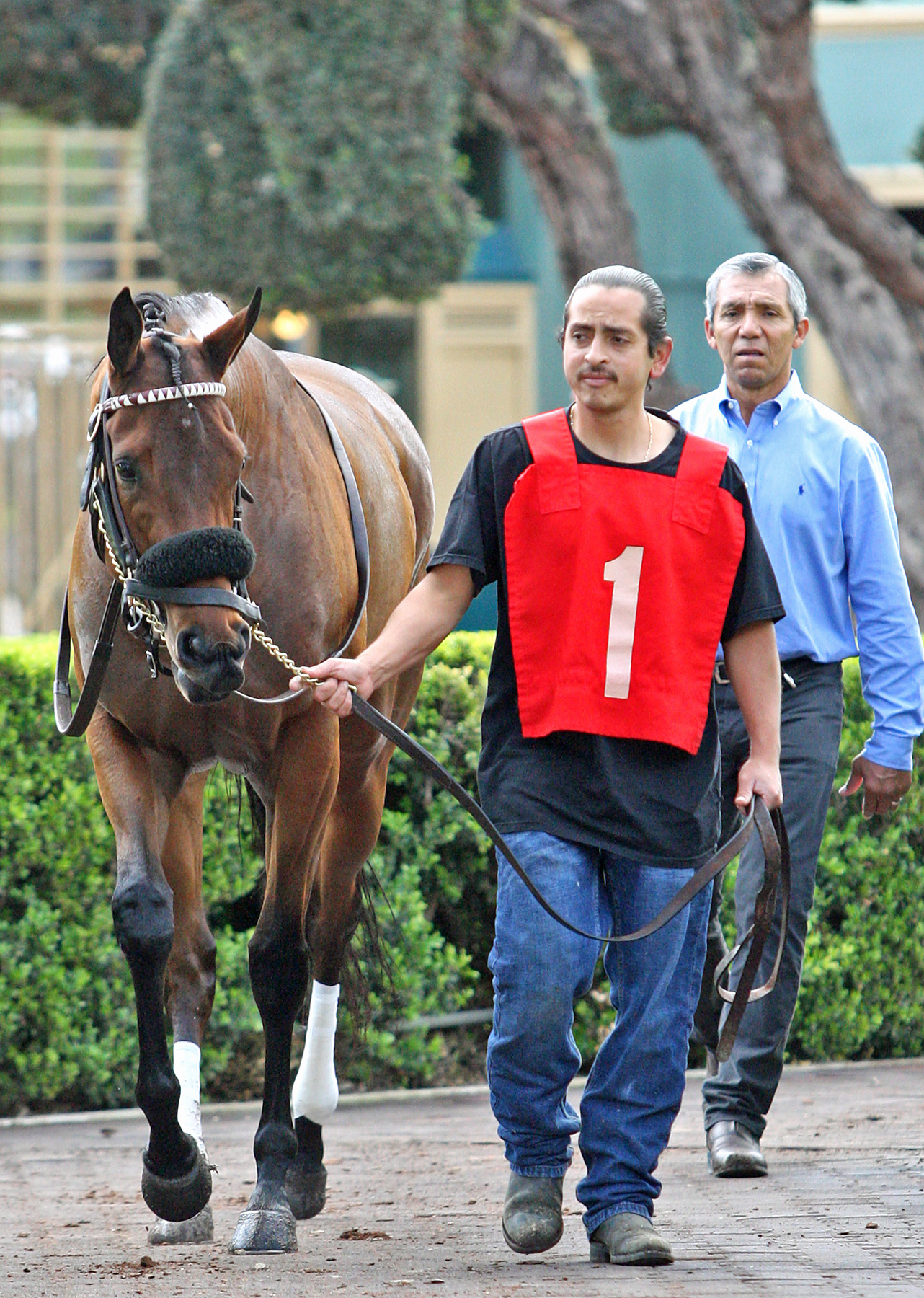 Marley-s Freedom at Santa Anita Park in March 2018