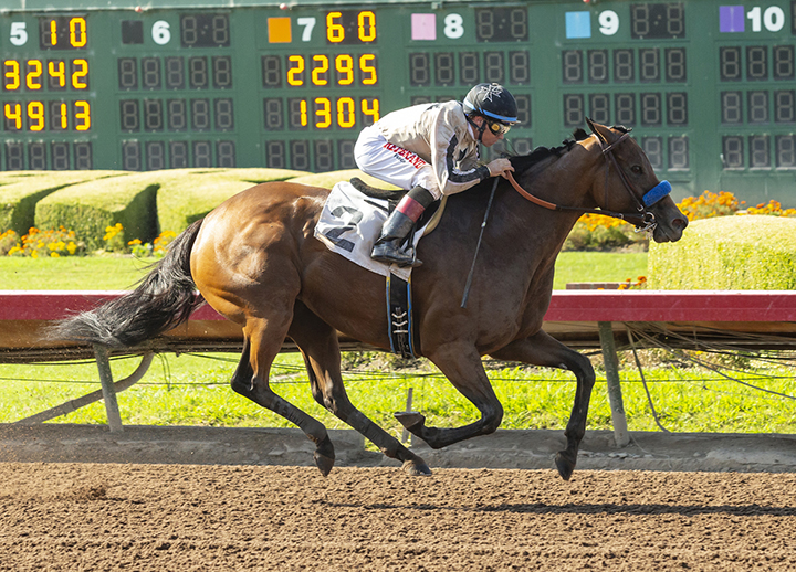 Marley's Freedom wins the 2019 Great Lady M Stakes at Los Alamitos
