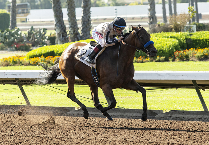 Marley's Freedom wins the 2019 Great Lady M Stakes at Los Alamitos