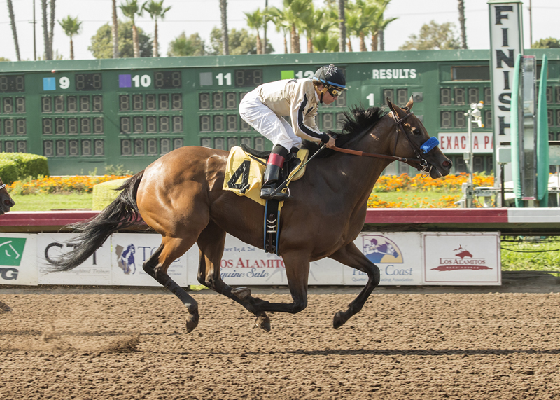 Marley-s Freedom wins the 2018 Great Lady M. Stakes