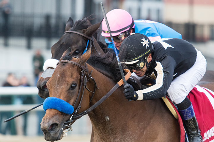 Marley-s Freedom wins the 2018 Go For Wand