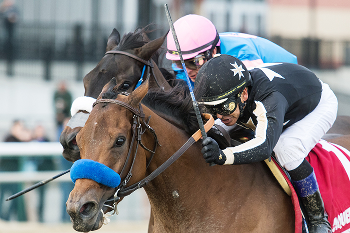 Marley-s Freedom wins the 2018 Go For Wand