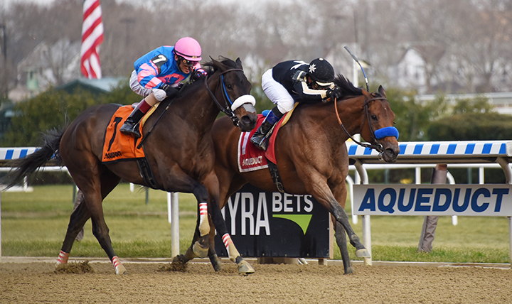 Marley-s Freedom wins the Go for Wand Handicap