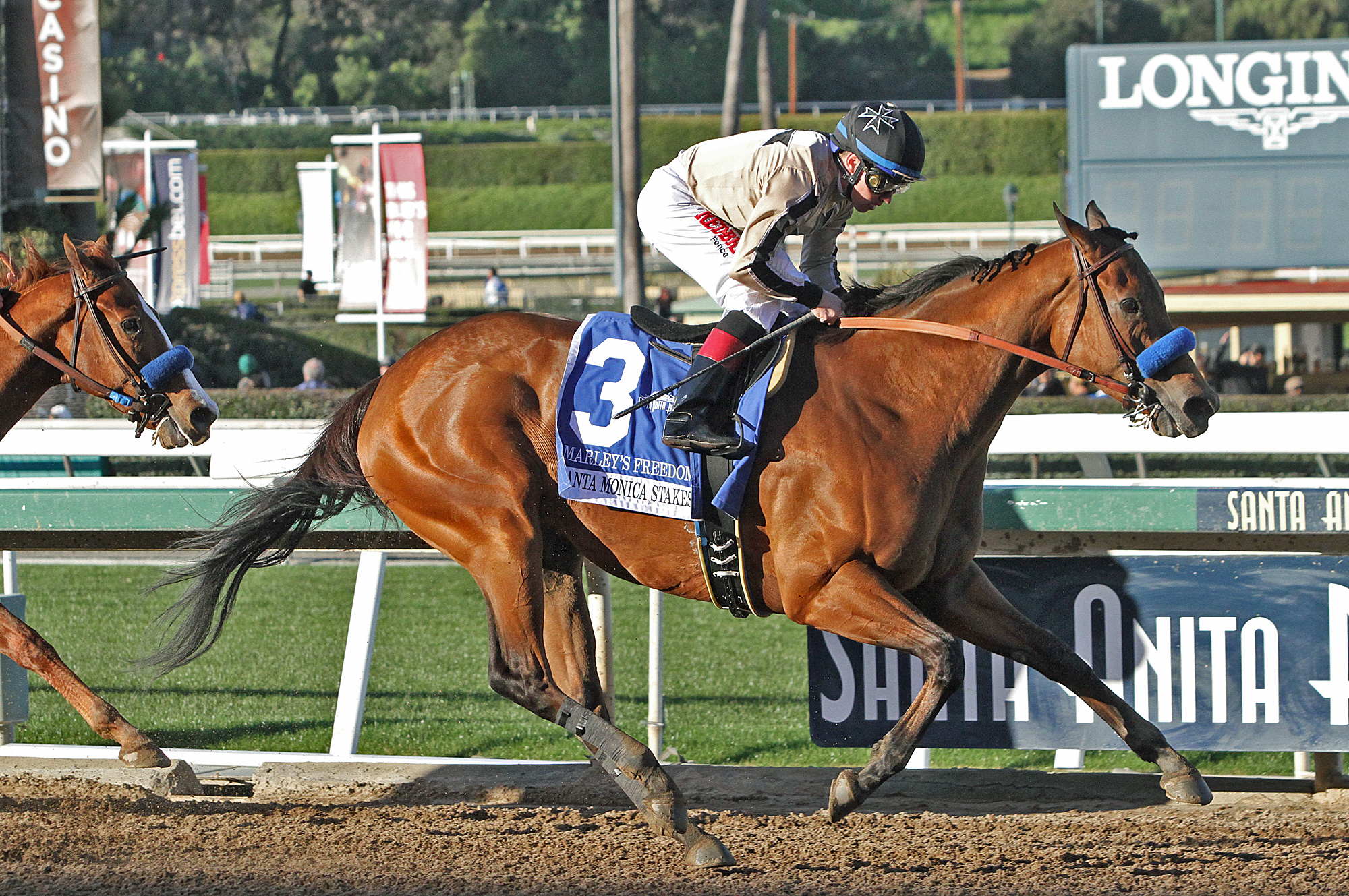 Marley's Freedom wins 2019 Santa Monica