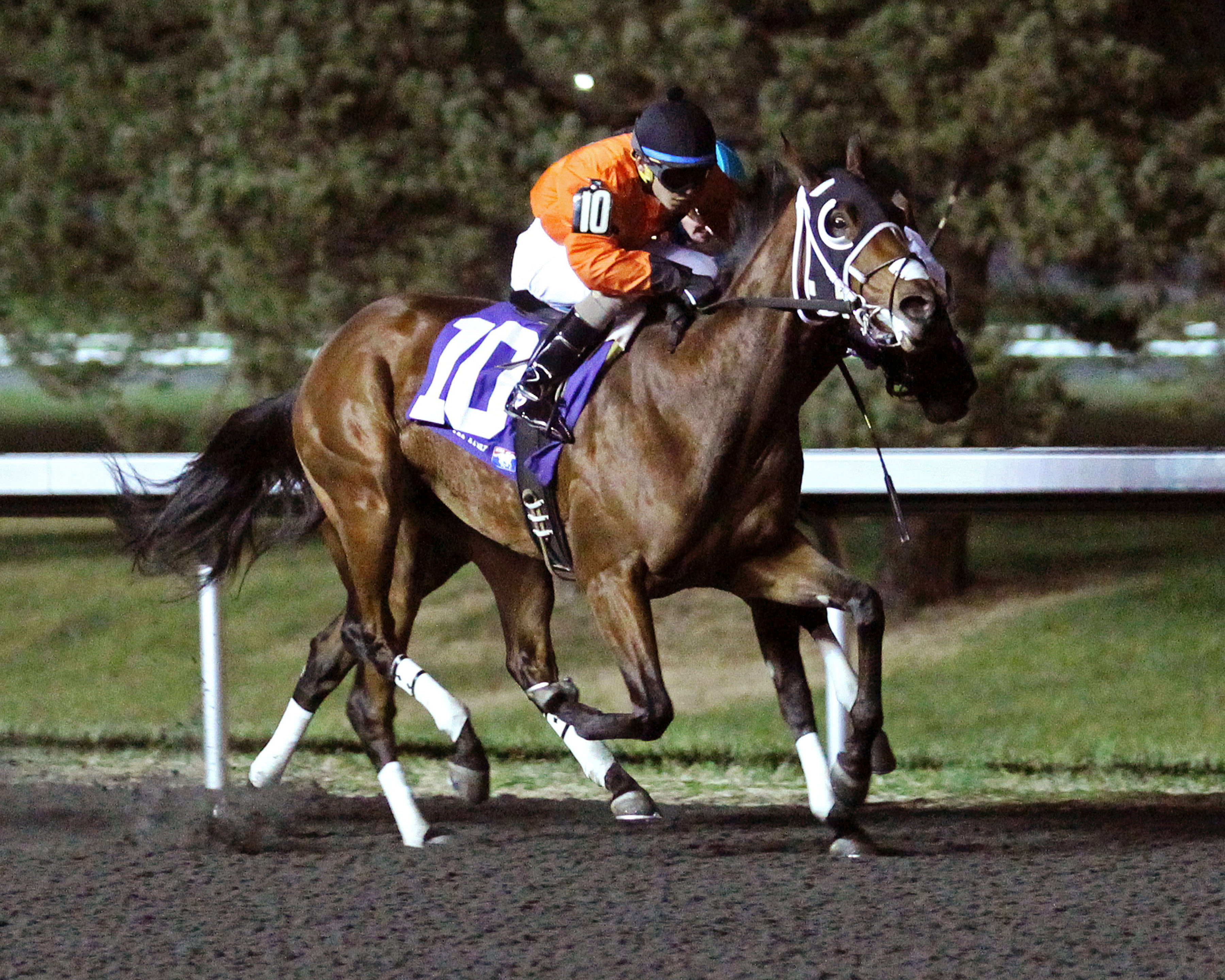 Marquee Miss wins the Holiday Inaugural
