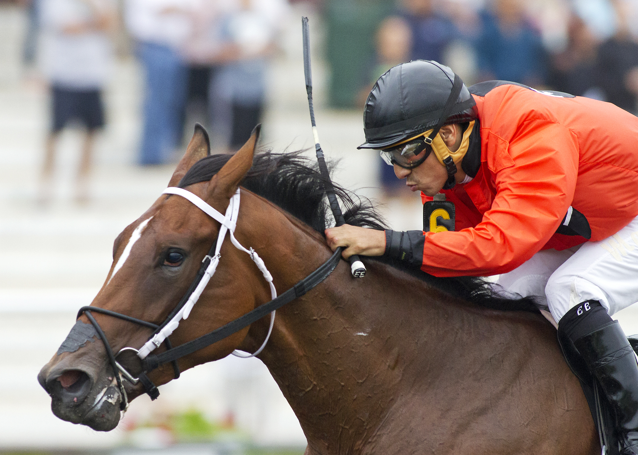Marquee Miss wins the Arlington-Washington Lassie