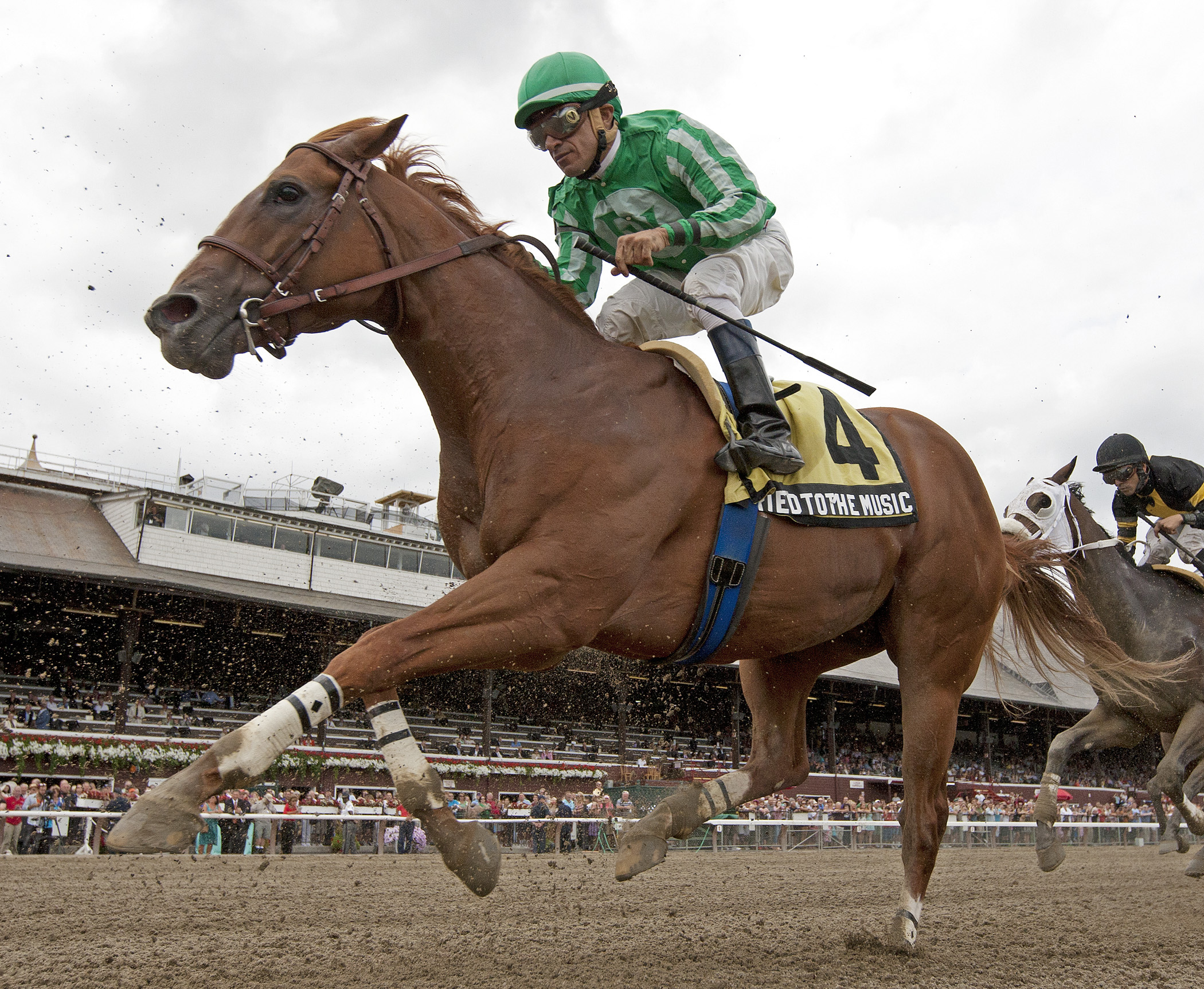 Marriedtothemusic finishes second in the Claramount Stakes