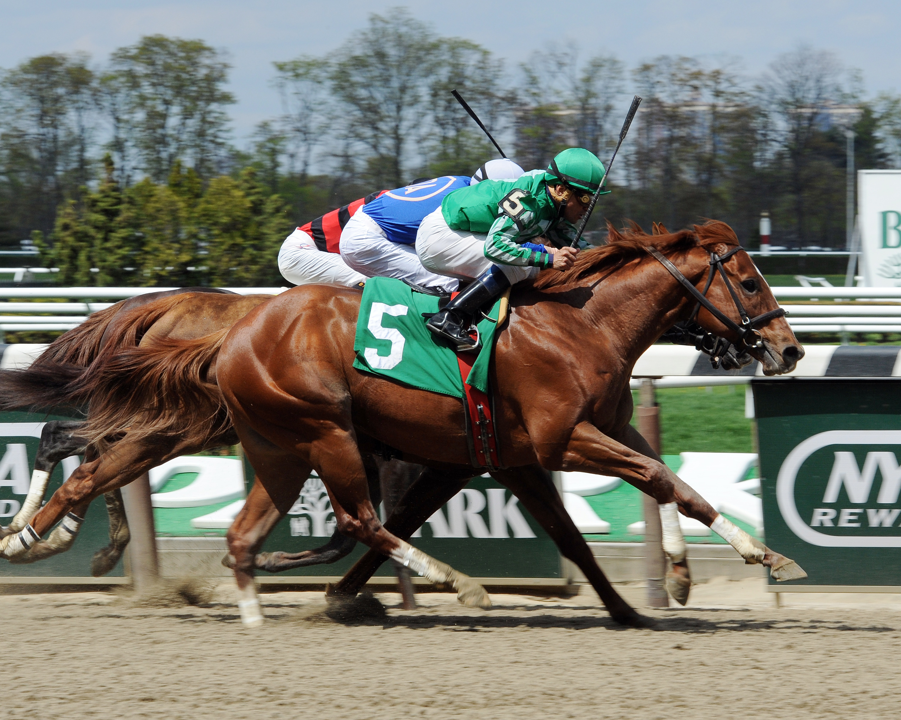 Marriedtothemusic wins the Affirmed Success
