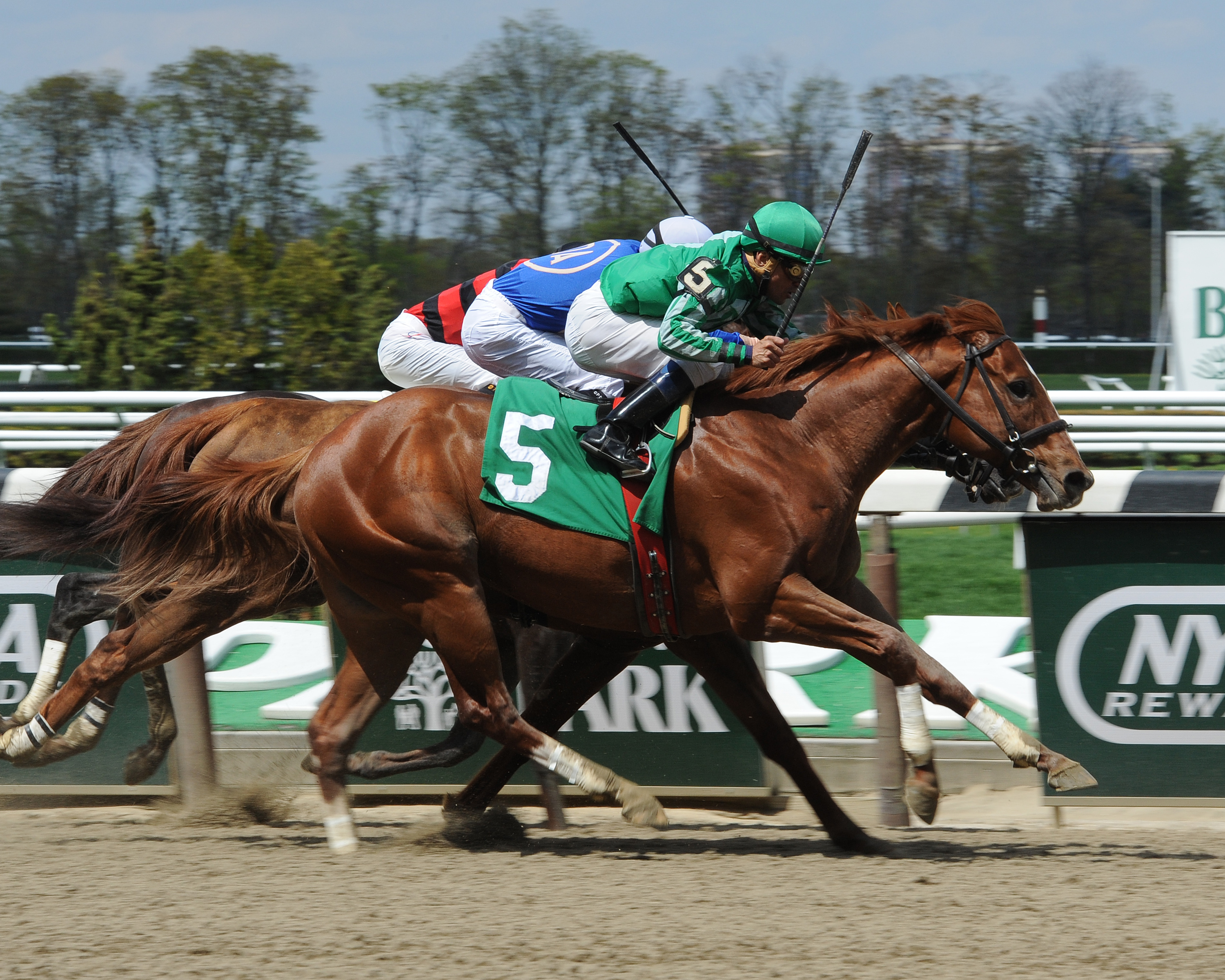 Marriedtothemusic wins the 2014 Affirmed Success