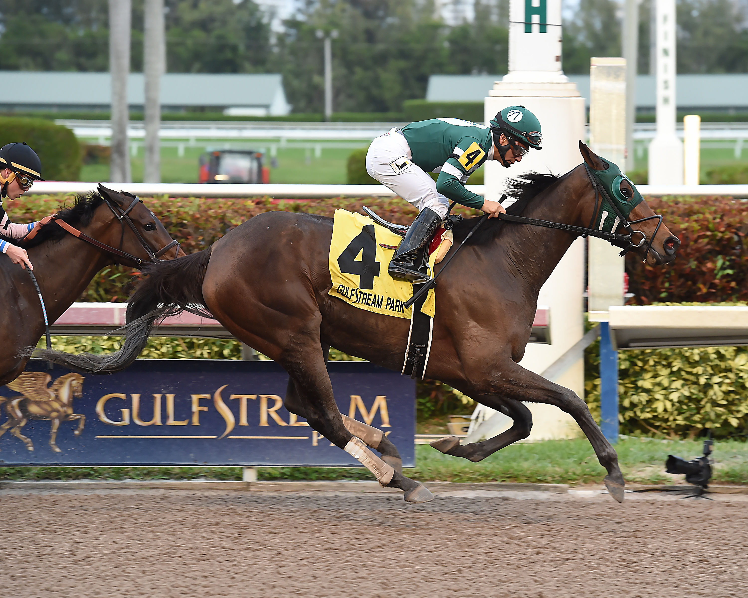 Martini Glass wins 2018 Royal Delta