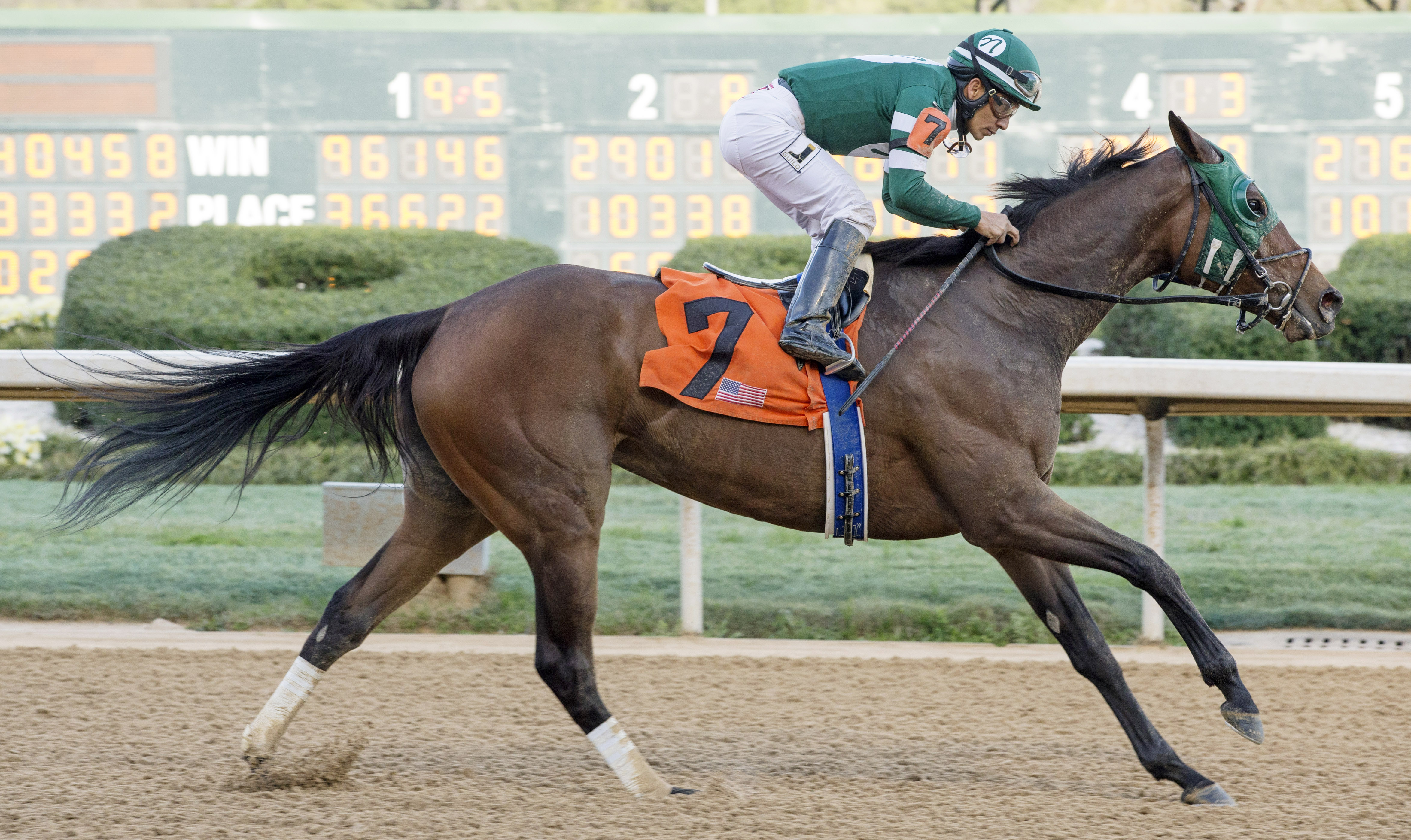 Martini Glass wins the 2018 Azeri Stakes