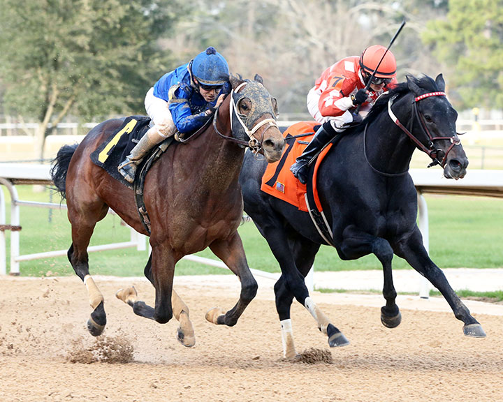 Marvin (right) finishes second in a Feb. 29 allowance at Oaklawn