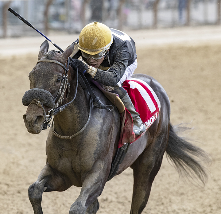 Maryanorginger wins the 2019 Astoria Stakes