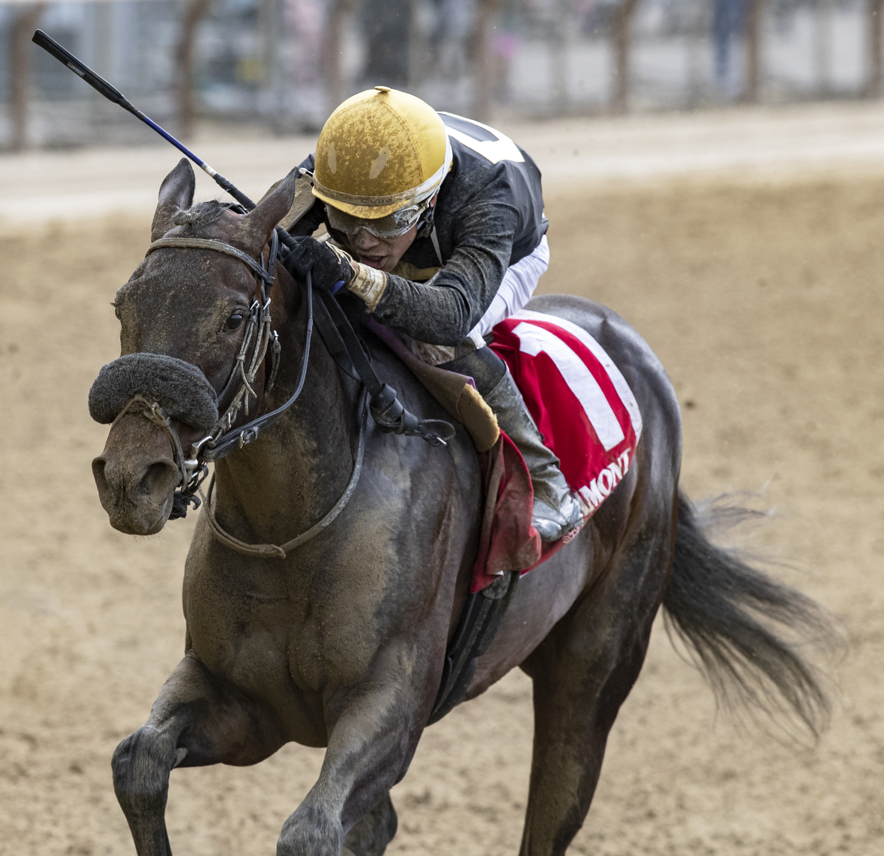 Maryanorginger wins the 2019 Astoria Stakes