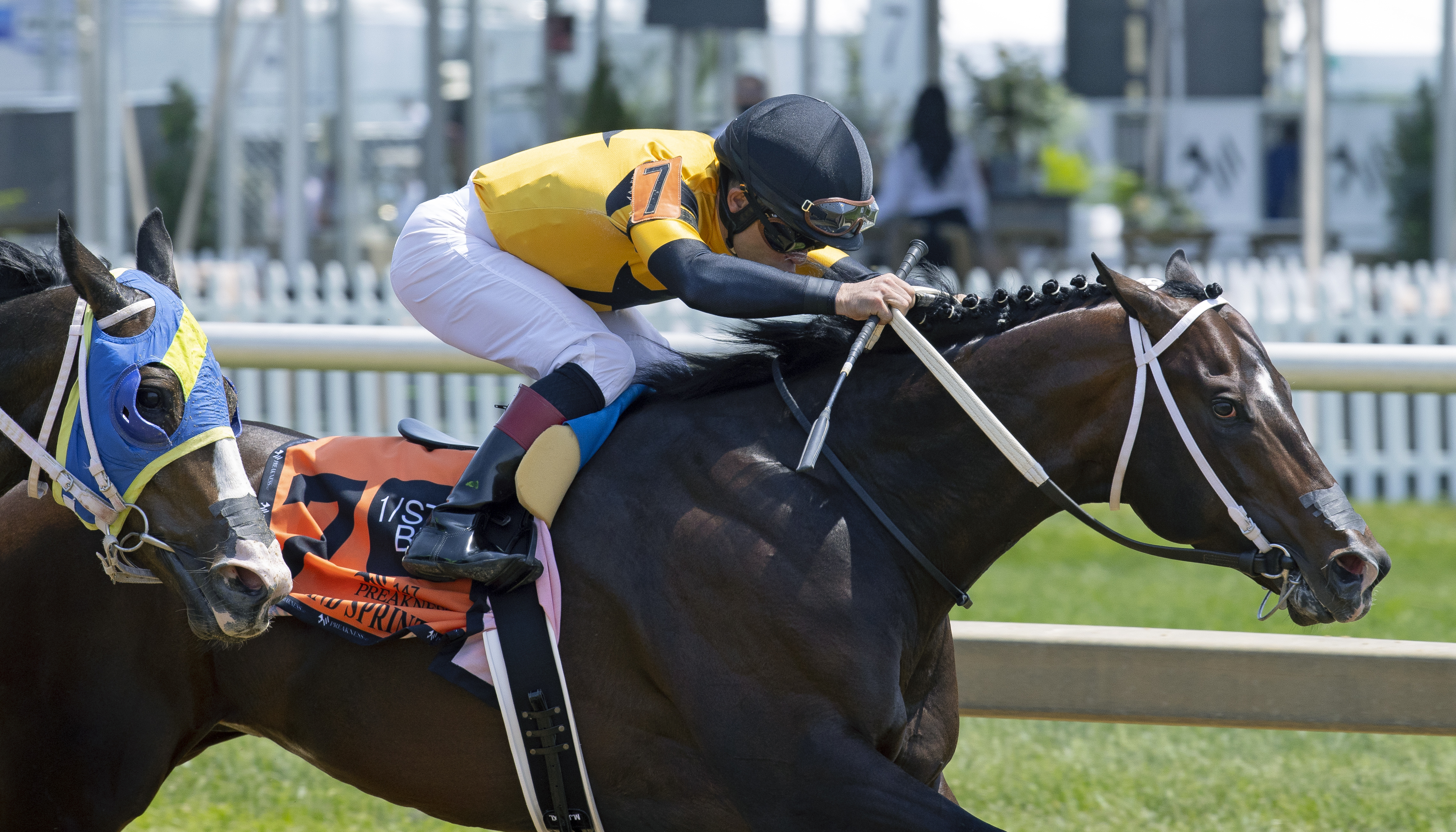 Jaxon Traveler/Maryland Sprint