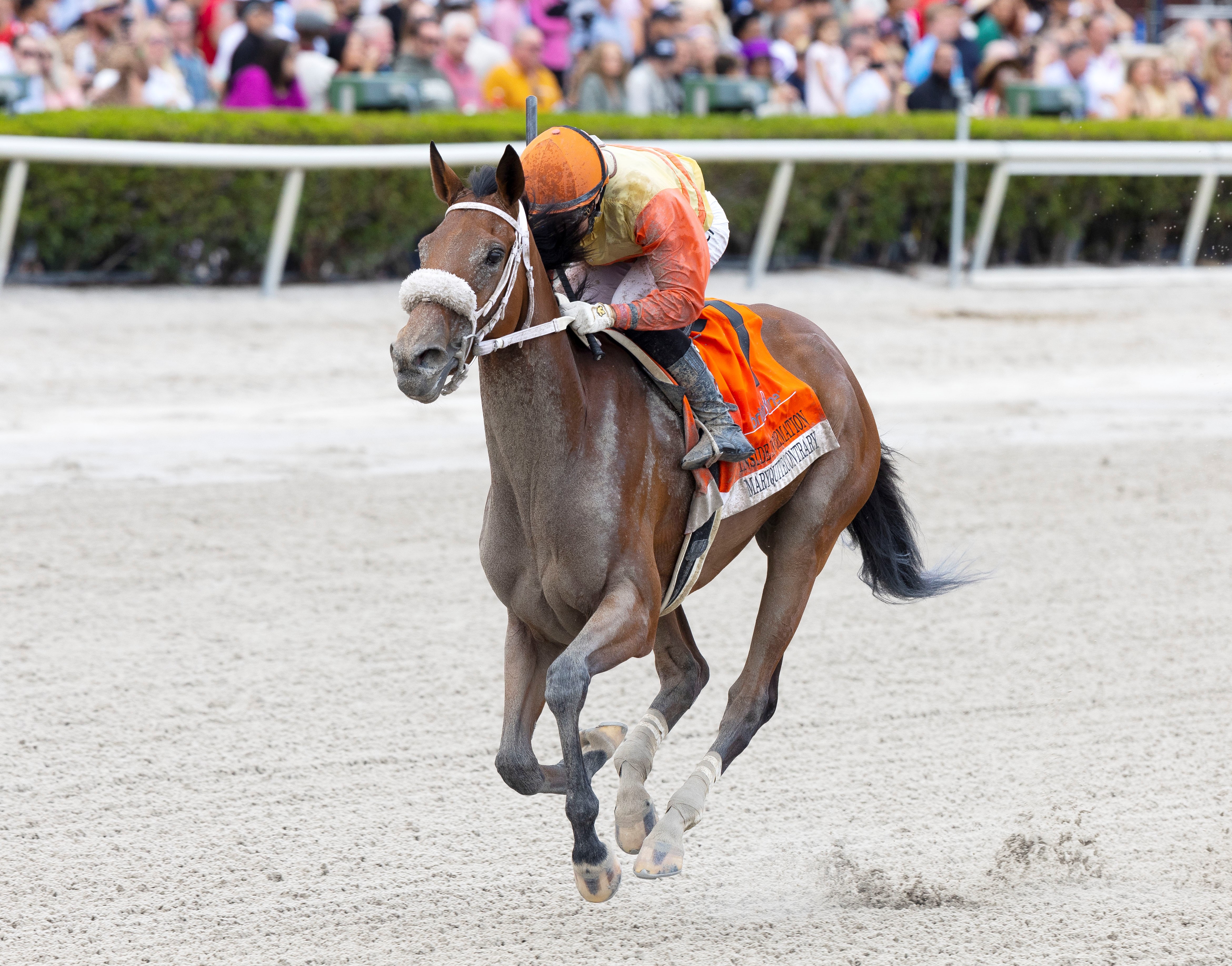 Maryquitecontrary wins Inside Information at GO Jan 28 2023