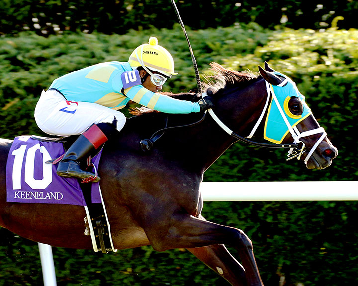 Marzo wins the 2019 Sycamore Stakes at Keeneland Race Course