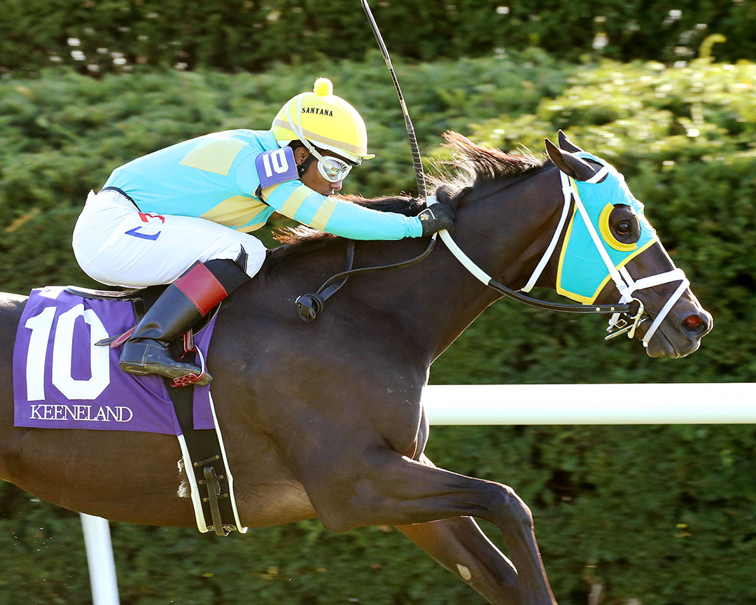 Marzo wins the 2019 Sycamore Stakes at Keeneland