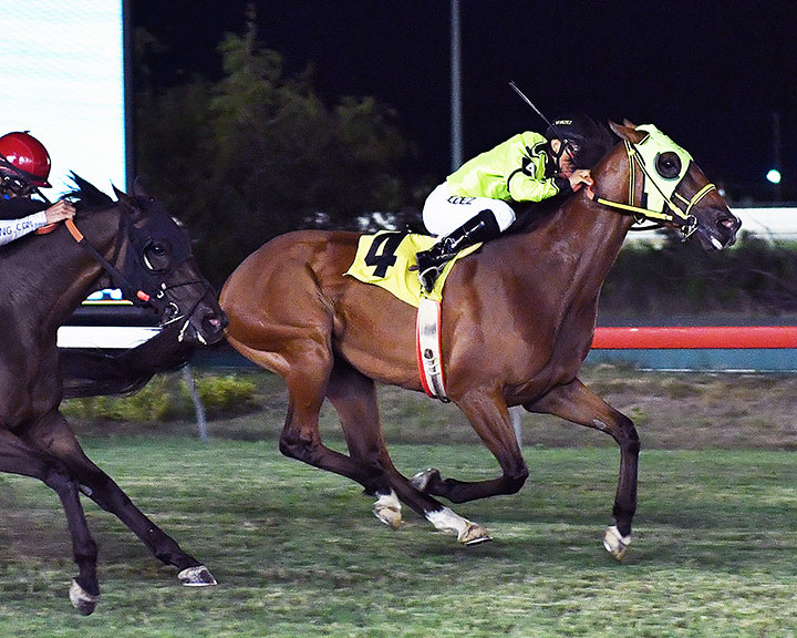 Mas Mischief wins the 2018 Rio Bravo Turf Starter Handicap No. 3 at Retama Park