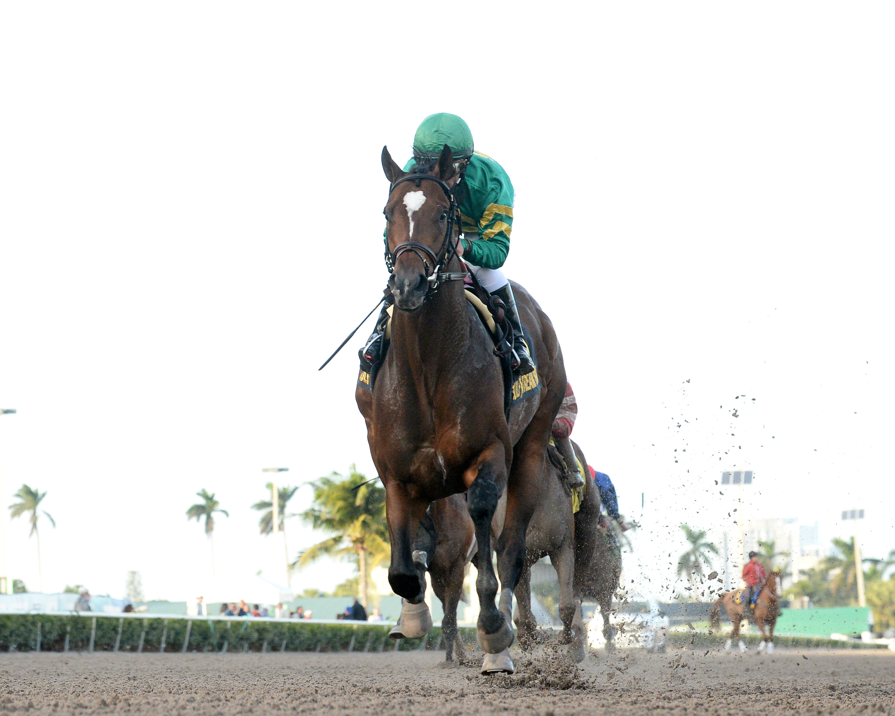 Mask wins the 2018 Mucho Macho Man Stakes