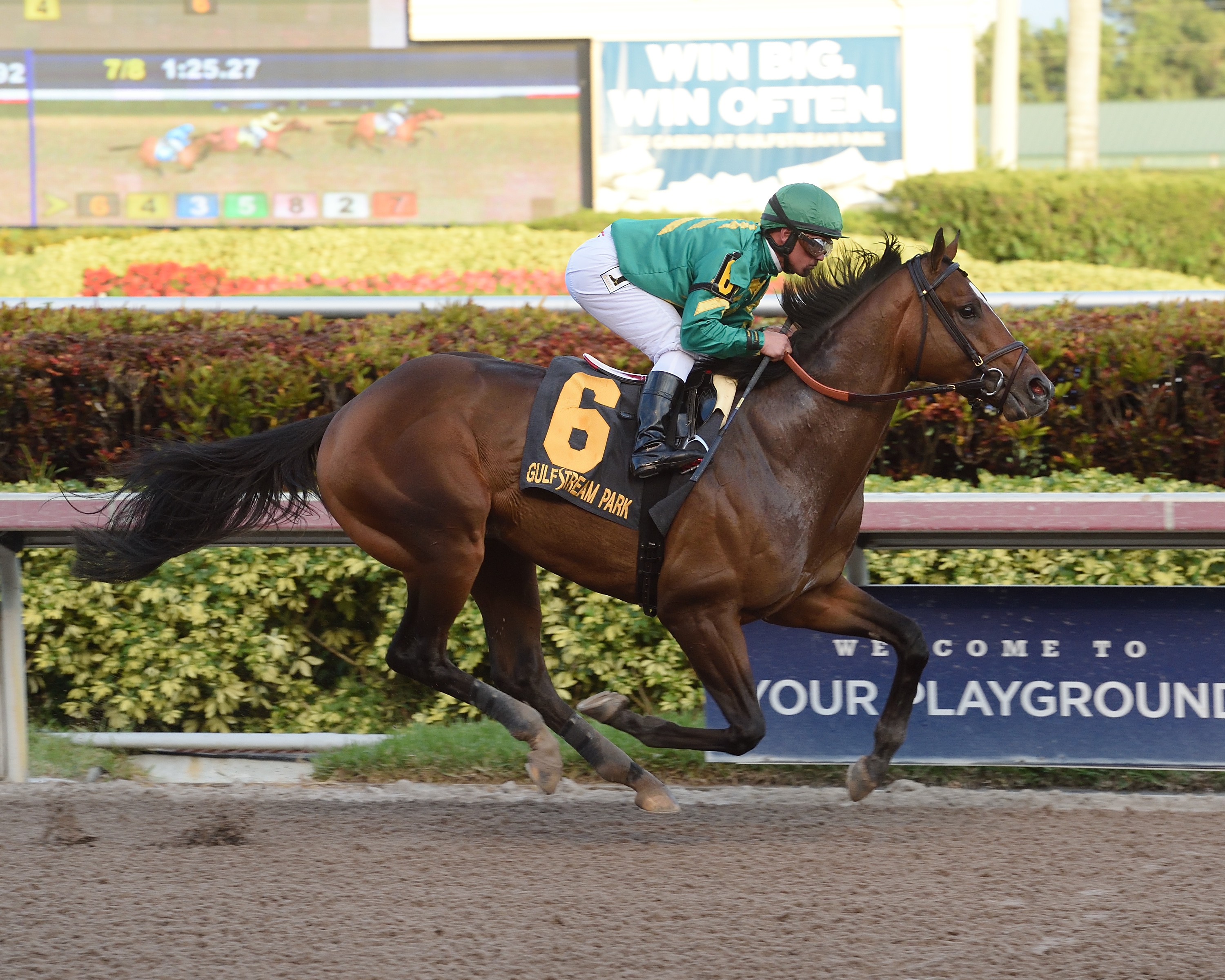 Mask wins the 2018 Mucho Macho Man Stakes