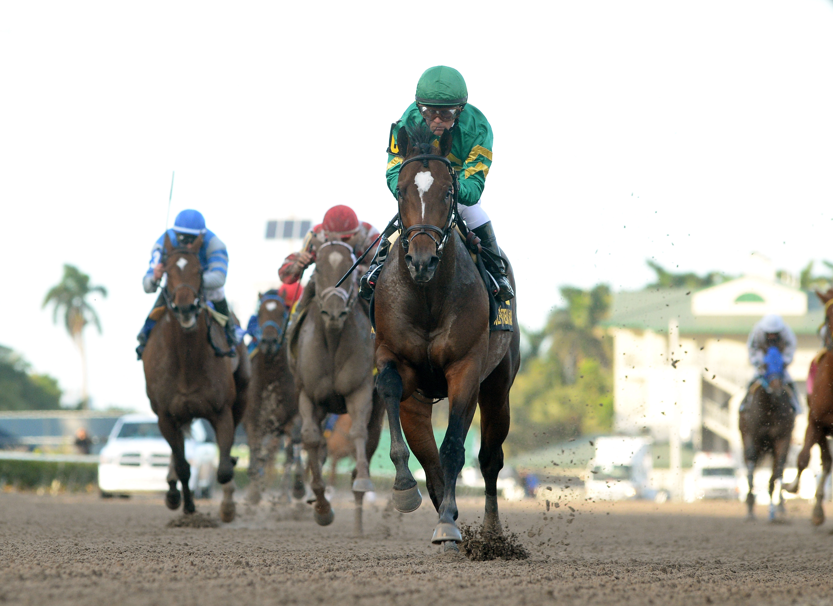 Mask wins the 2018 Mucho Macho Man Stakes