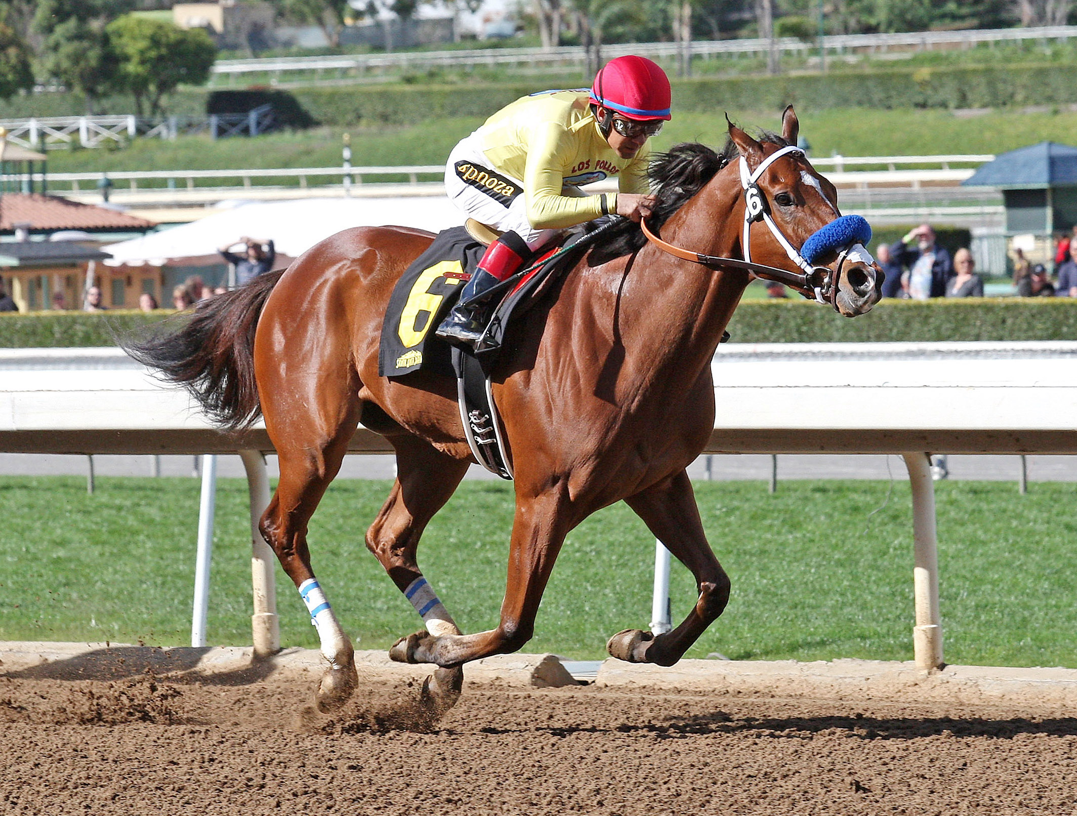 Masochistic wins an allowance race