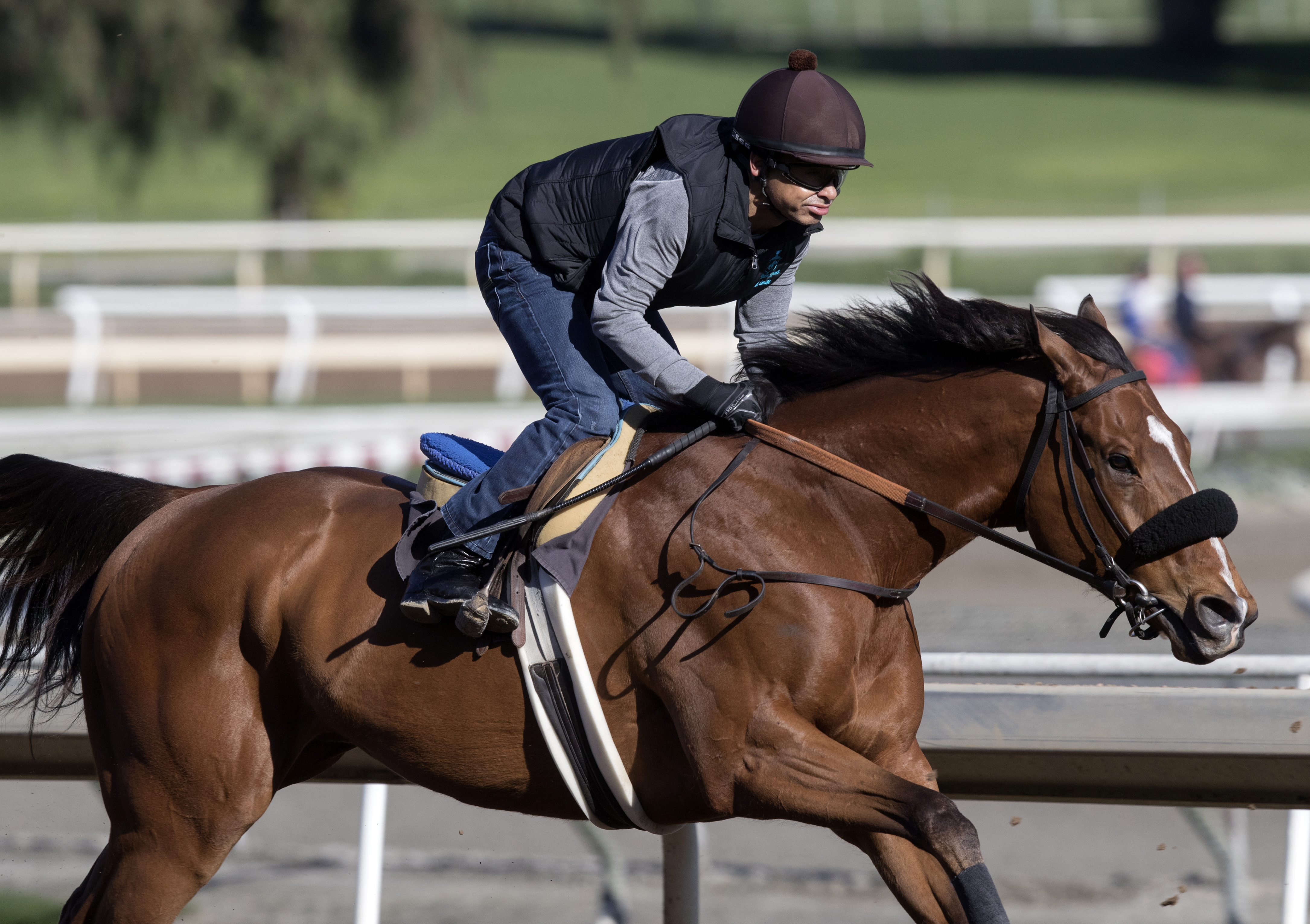 Masochistic trains at Santa Anita in February 2017