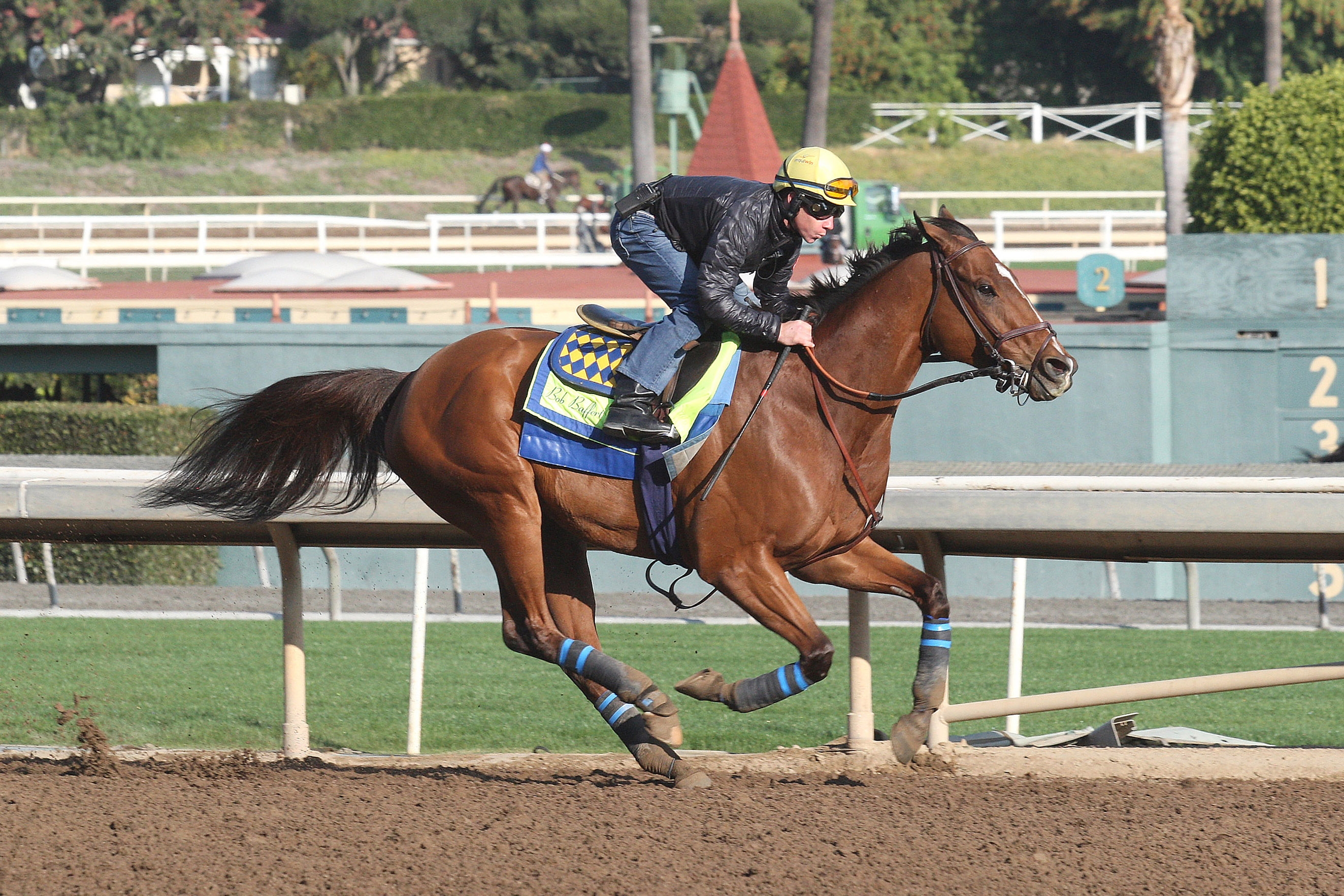 Masochistic training at Santa Anita 12.20.17