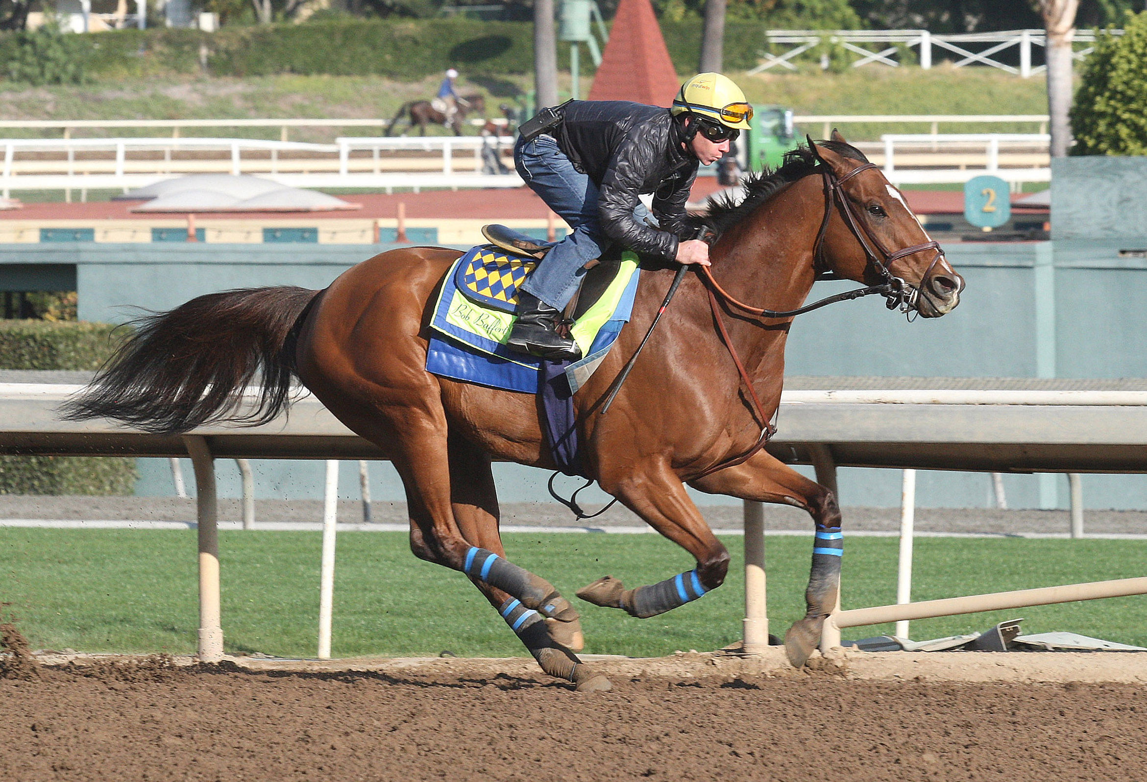 Masochistic trains at Santa Anita in December 2017