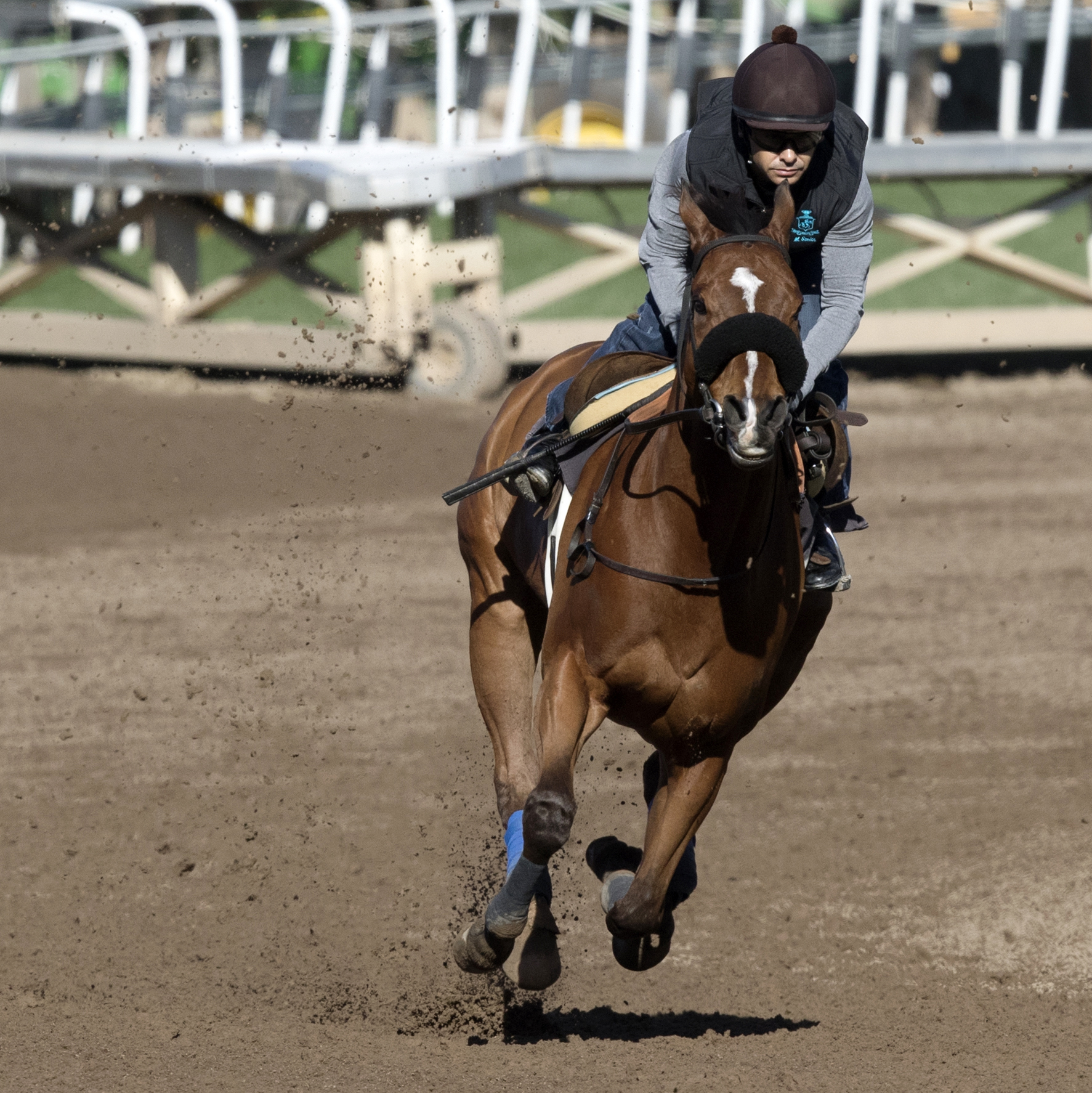 Masochistic trains at Santa Anita on Feb. 13