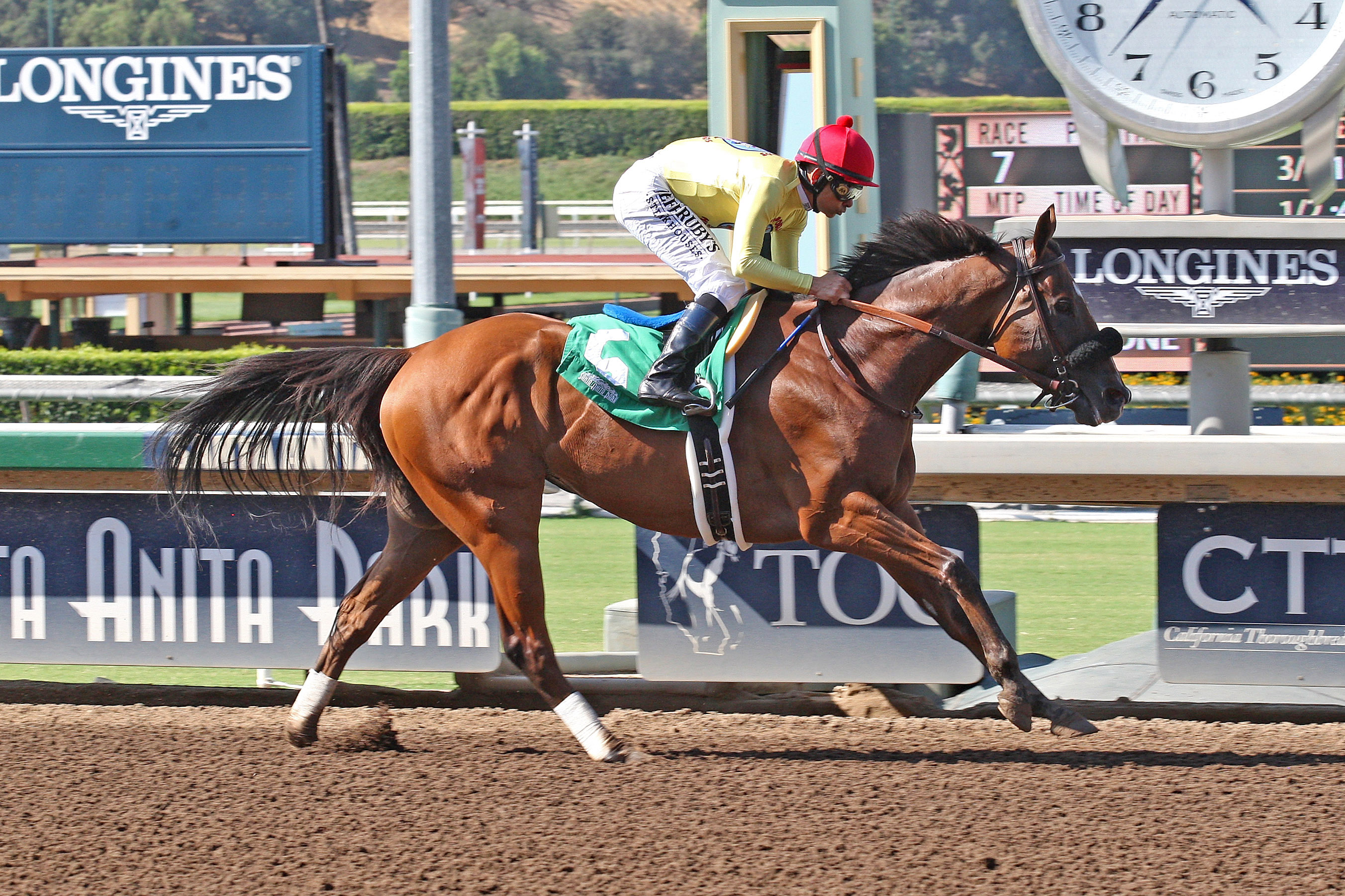 Masochistic wins an allowance race on July 8