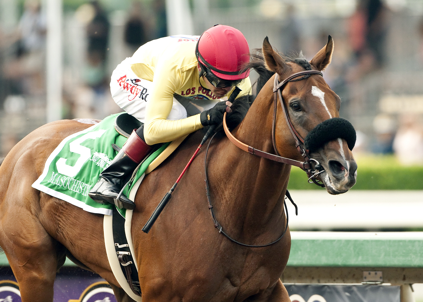 Masochistic wins the Triple Bend Stakes