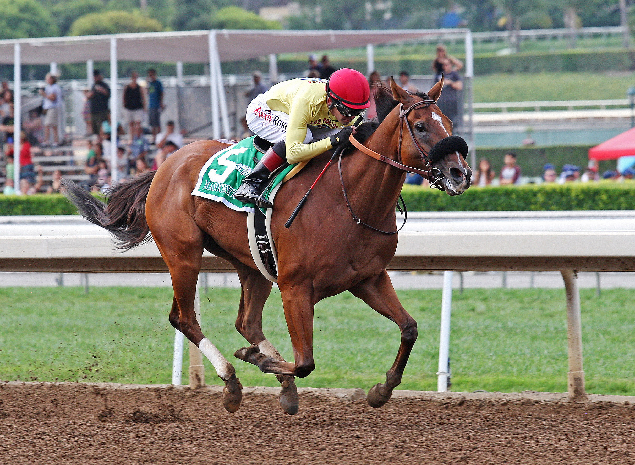 Masochistic wins the Triple Bend