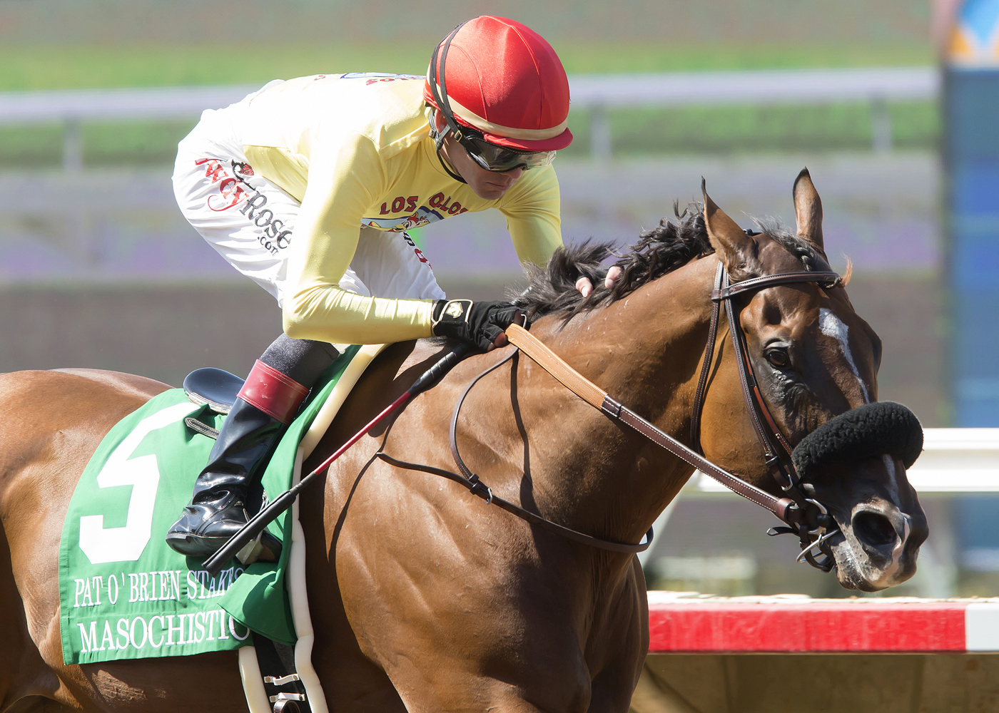 Masochistic wins the Pat O'Brien Stakes