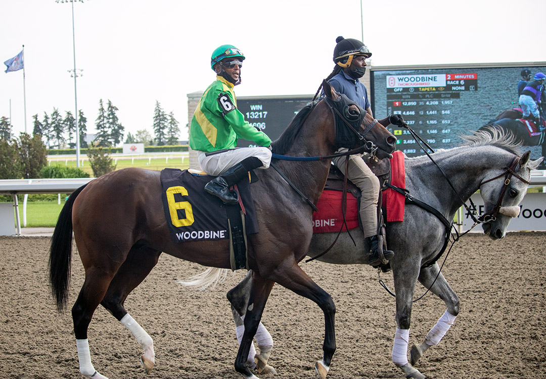 Mason's Gamble at Woodbine Racetrack in August 2021